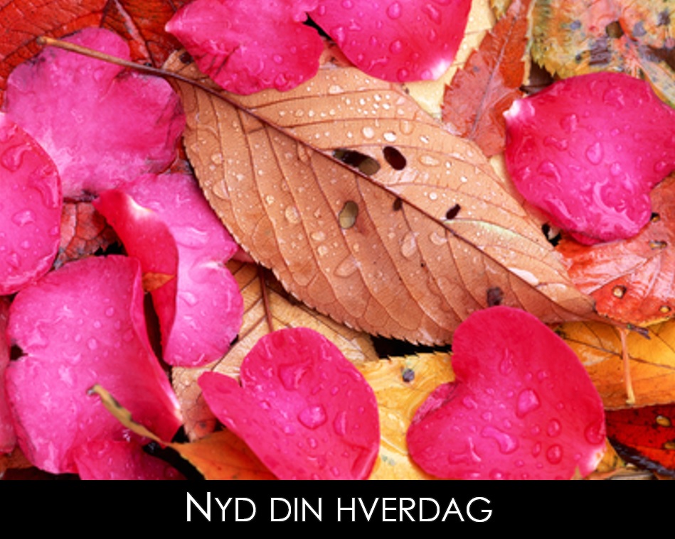 Fritid livshulet
