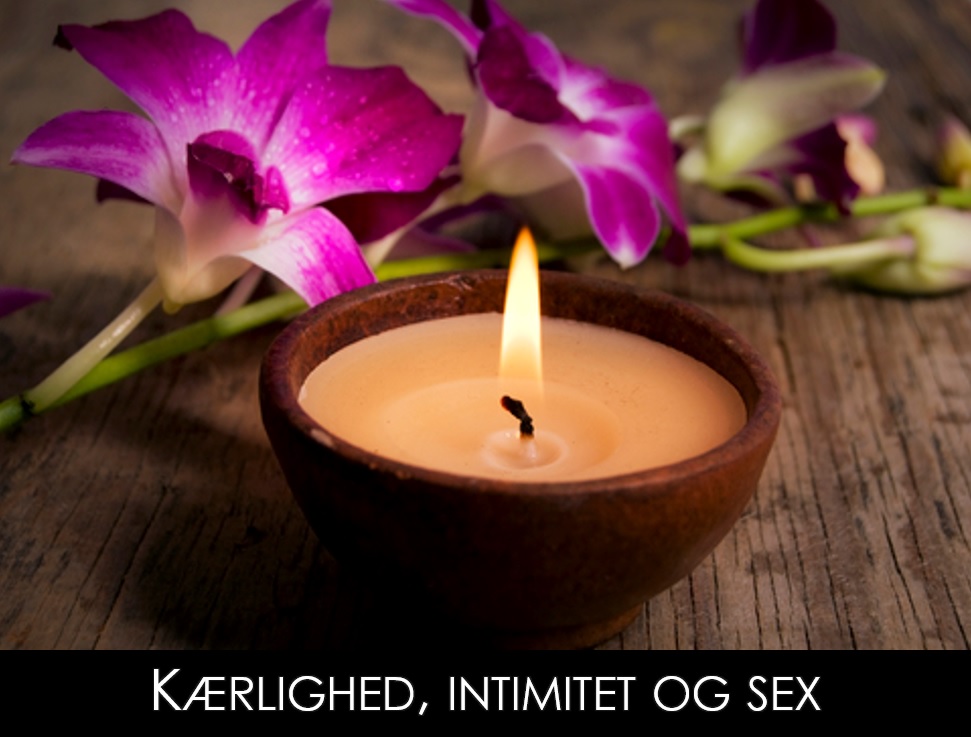 Parforhold livshjulet