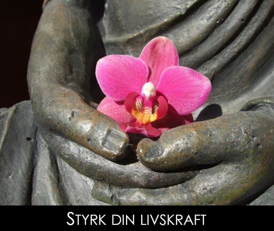 Personlig udvikling